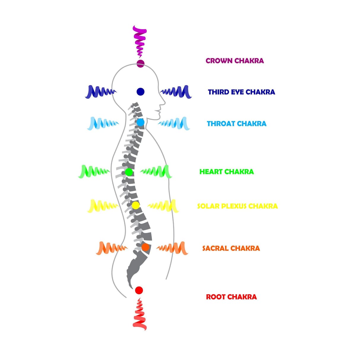 Cerebrospinal fluid detail